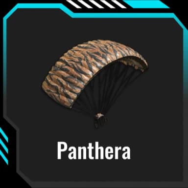 Panthera