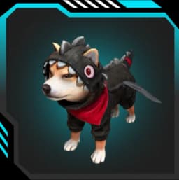 Shiba